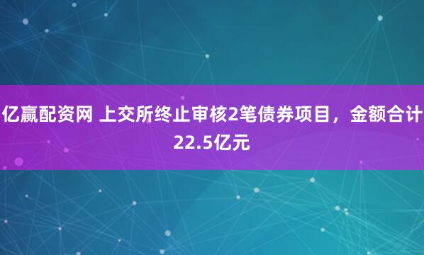 亿赢配资网 上交所终止审核2笔债券项目，金额合计22.5亿元