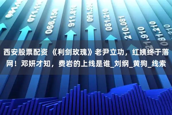 西安股票配资 《利剑玫瑰》老尹立功，红姨终于落网！邓妍才知，费岩的上线是谁_刘纲_黄狗_线索