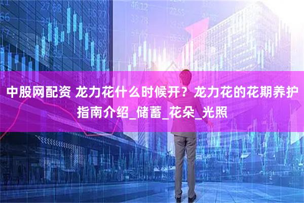 中股网配资 龙力花什么时候开？龙力花的花期养护指南介绍_储蓄_花朵_光照