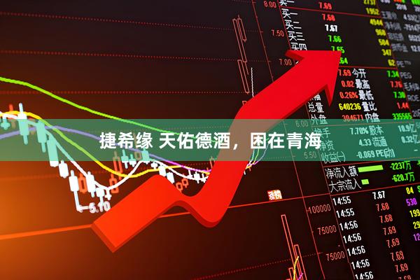 捷希缘 天佑德酒，困在青海