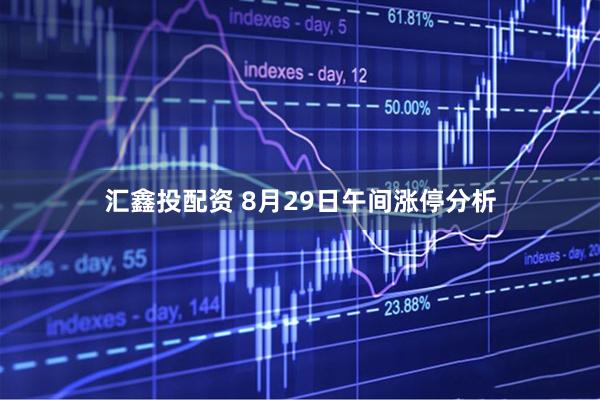 汇鑫投配资 8月29日午间涨停分析