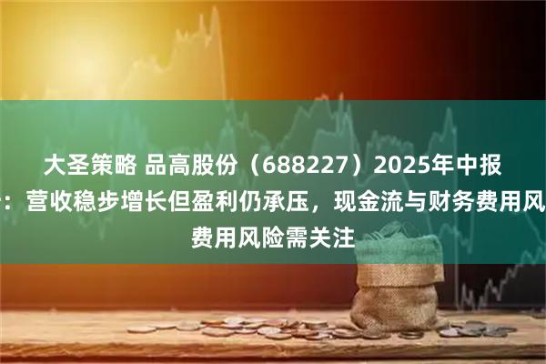 大圣策略 品高股份（688227）2025年中报财务分析：营收稳步增长但盈利仍承压，现金流与财务费用风险需关注