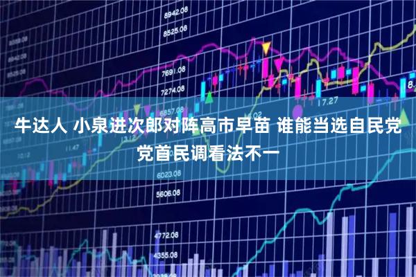 牛达人 小泉进次郎对阵高市早苗 谁能当选自民党党首民调看法不一