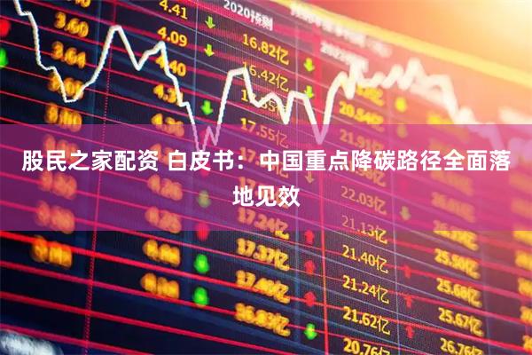 股民之家配资 白皮书：中国重点降碳路径全面落地见效