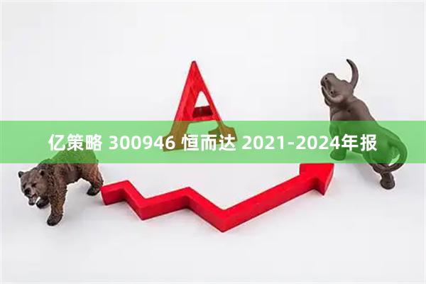 亿策略 300946 恒而达 2021-2024年报